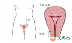 什么是不孕不育症及影响不孕不育的因素有哪些？