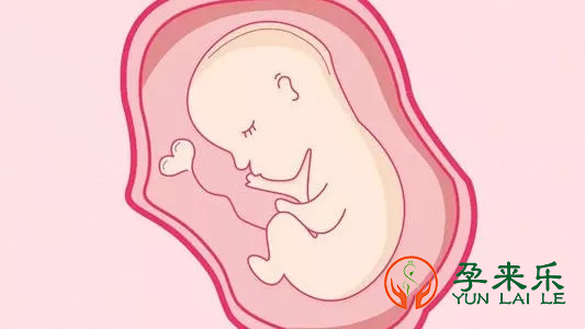 试管婴儿和自然受孕的宝宝一样吗？