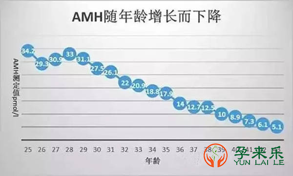 AMH跟生育能力有什么关联？