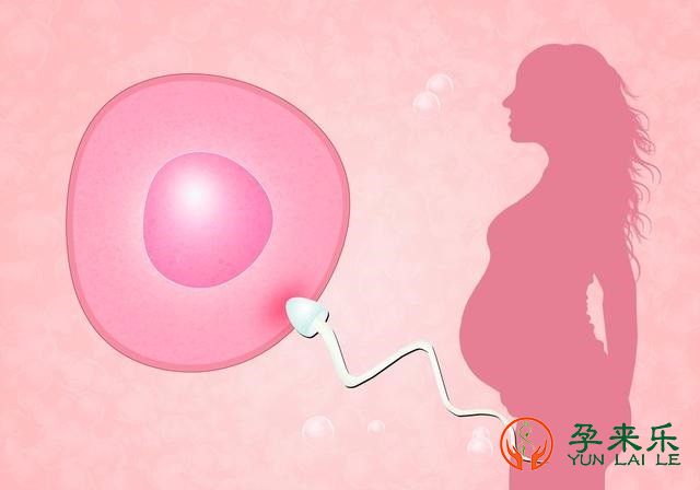 什么是子宫内膜异位症？子宫内膜异位症能试管婴儿吗？