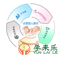 试管婴儿能一次成功吗？做试管婴儿大概要花多少钱？