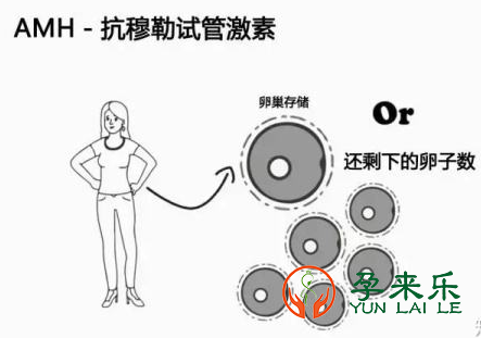 不孕不育需要查那四项？