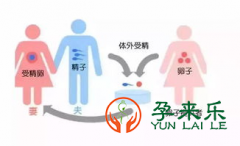 供卵做试管婴儿是什么流程？供卵试管婴儿注意些什么？