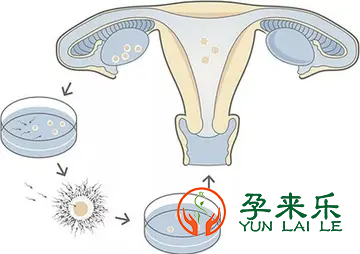 试管婴儿一次移植几枚胚胎比较好？