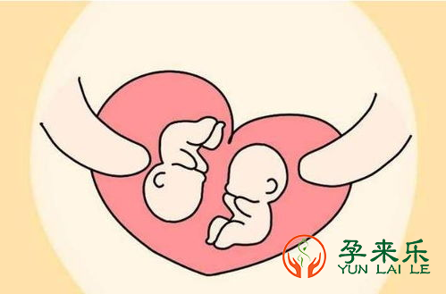 试管婴儿一次移植几枚胚胎比较好？
