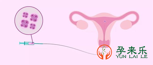 试管婴儿胚胎移植后需要注意些什么？