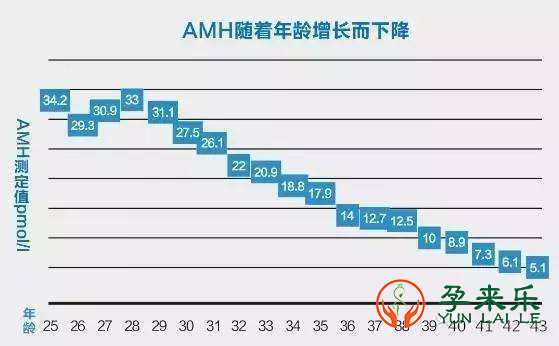 什么是AMH?做试管婴儿前为什么检查AMH？