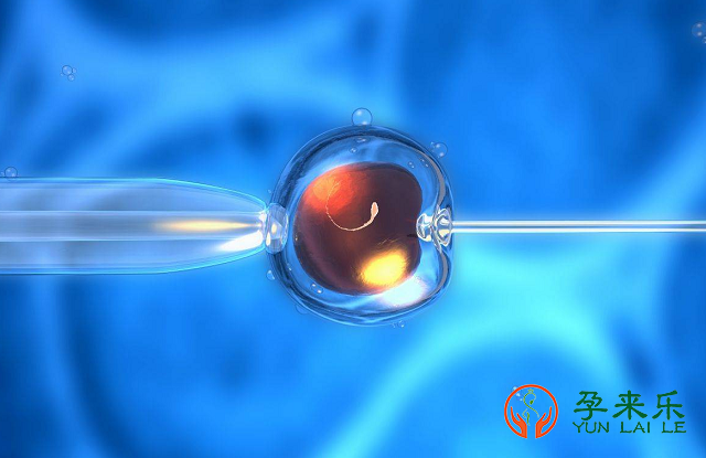 输卵管堵塞能排卵吗？输卵管堵塞如何做试管婴儿？