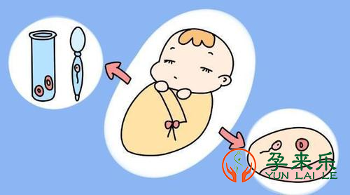 什么是试管婴儿？试管婴儿和普通婴儿有什么不同吗？