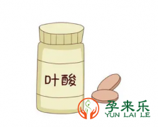 什么是叶酸？备孕为什么要吃叶酸？