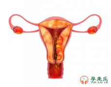 子宫腺肌症是怎么造成不孕的？子宫腺肌症能做