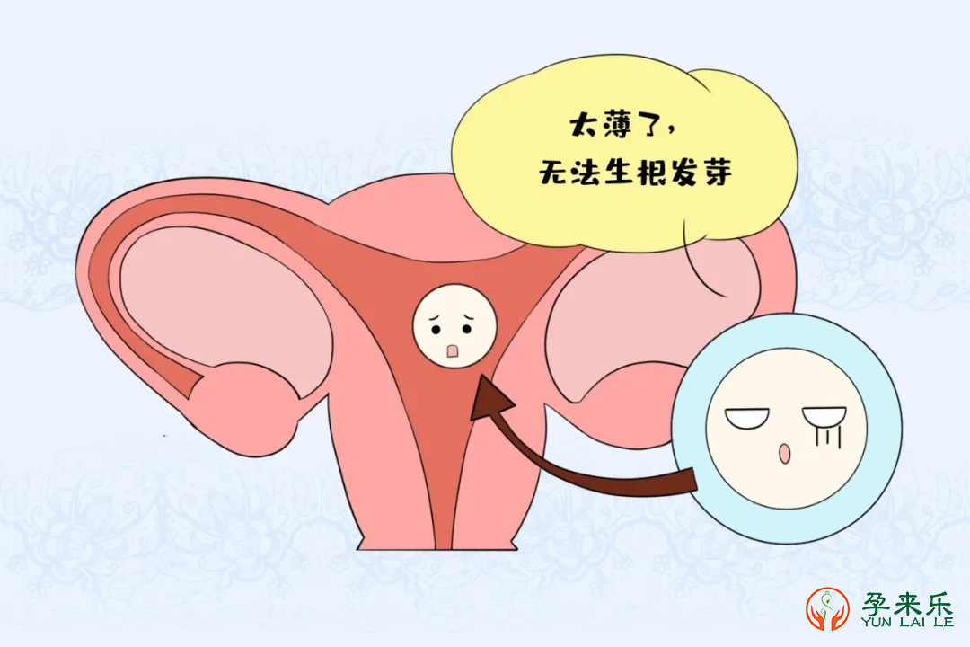 什么是内膜？试管婴儿移植为什么内膜要达标？
