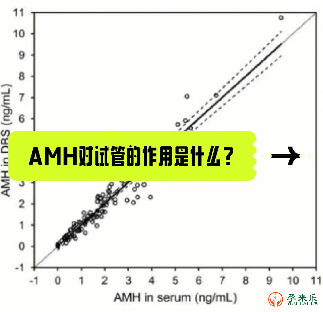 什么是AMH？做试管婴儿前为什么要查AMH？