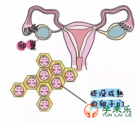 什么是试管婴儿前降调？降调的方案有哪些？