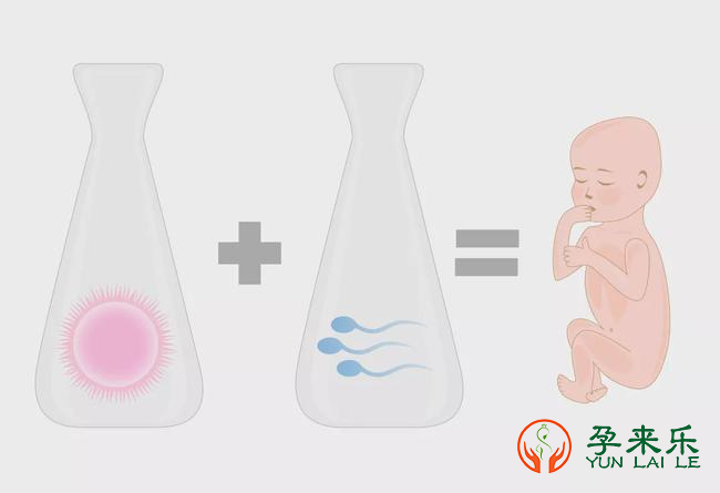 三代试管流程包括什么？国内三代试管费用大概是多少？