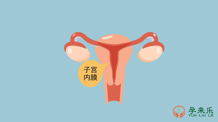 什么是试管婴儿移植胚胎？胚胎移植前为什么要检查子宫内膜？