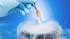 什么是冷冻胚胎？为什么有些人移植需要冷冻胚胎？