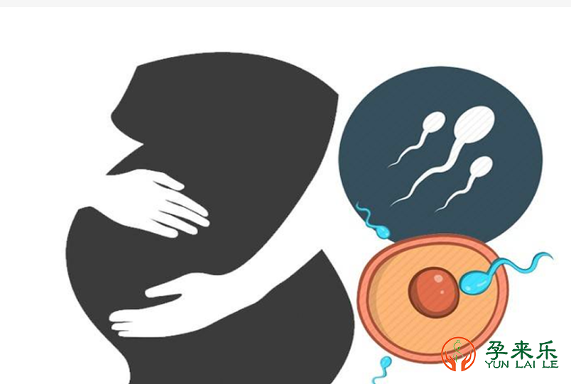 老公精子质量低怎么办？如何提升精子活力？