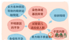 什么是试管婴儿的医学指征?国内做试管技术禁忌