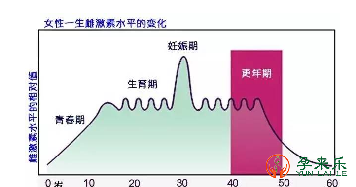 什么是性激素？女性性激素里面藏着多少秘密？