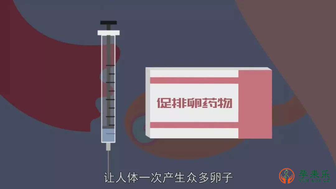 什么是促排卵针？促排卵针对女性身体到底有没有伤害？