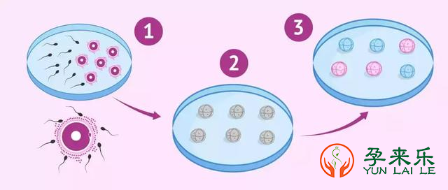 第三代试管婴儿是否比一，二代技术更高级？