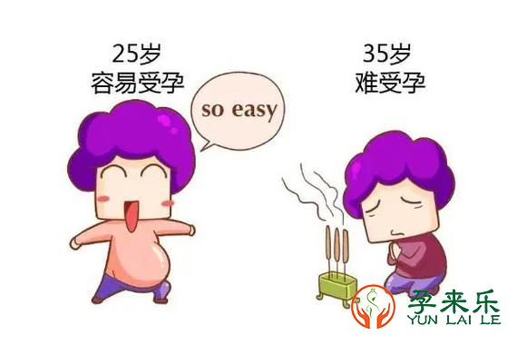 时间会给卵子带来累累伤痕？时间还给卵子带来哪些影响？