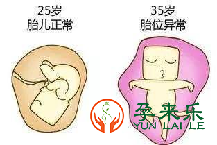 时间会给卵子带来累累伤痕？时间还给卵子带来哪些影响？