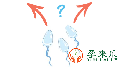 精子进入女性体内之旅揭秘？