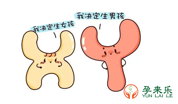 什么是三代试管婴儿？国内公立医院做三代试管到底能不能选择性别？