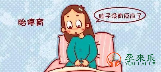 什么是胎停？胎停原因有哪些？