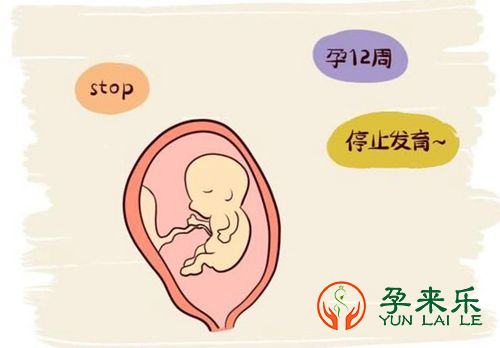什么是胎停？胎停原因有哪些？