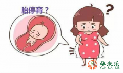 什么是胎停？胎儿停止发育有哪些征兆？