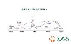 什么是激素六项？怎样解读激素六项报告？