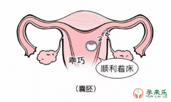 要想试管移植一次成功，有哪些小技巧?做试管人群必看！
