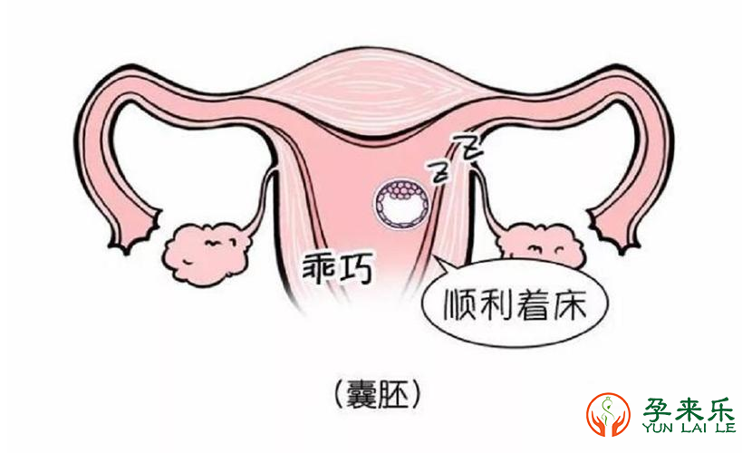 要想试管移植一次成功，有哪些小技巧?做试管人群必看！