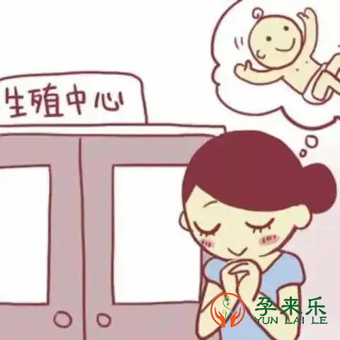 要想试管移植一次成功，有哪些小技巧?做试管人群必看！