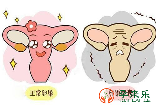 什么是卵巢早衰？怎样预防卵巢早衰？