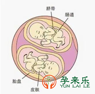 什么是三代试管技术？三代试管单胎妊娠好还是双胎妊娠好？