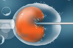 16项辅助生殖技术纳入北京医保门诊报销