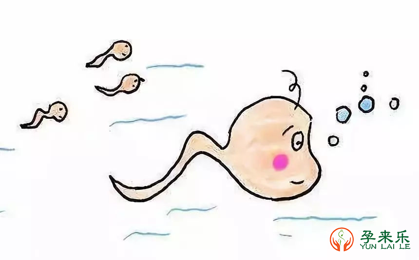 试管婴儿成功率因素取决于什么？
