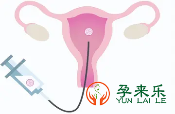 喜孕多告诉你：做试管婴儿胚胎移植前后有哪些误区？