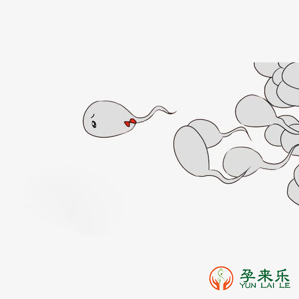 精子液化是什么意思？精子不液化影响做试管婴儿吗？